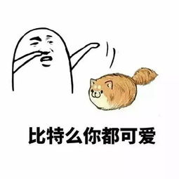  看见这两坨便便没全扔你脸上表情包
