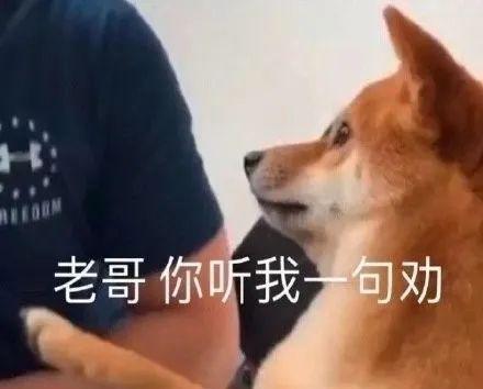  又不打了,欧文连续缺阵是因为儿子出生了