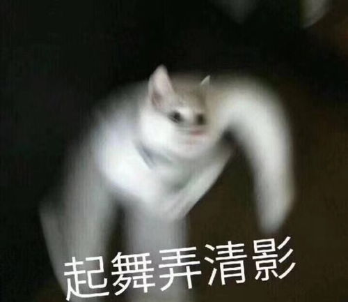 春节南疆过年呀有一起的小伙伴嘛