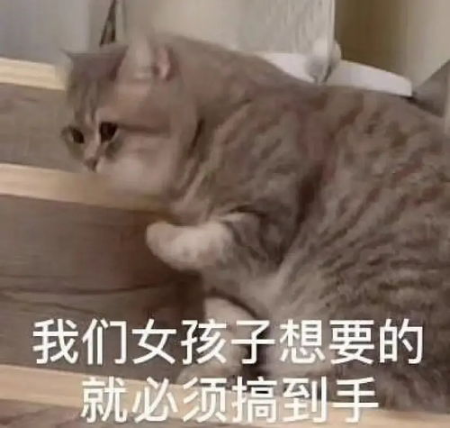  张良的黄金白羊座值得买吗
