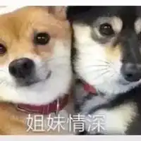  姐妹情深表情包