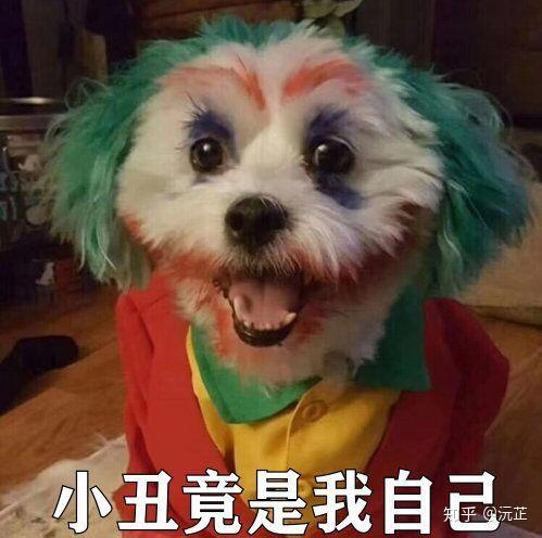小丑表情包图片头像