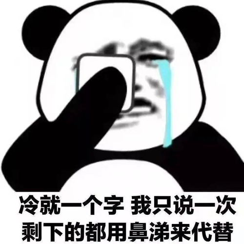  适合冬天用的沙雕表情包