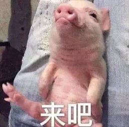  姑娘街头强吻7旬大爷,被6名民警抬走脸是个好东西,请你出门带上它