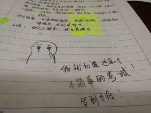  学生考试画表情包,改卷老师十分感动并给了0分