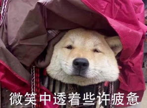  月入7万撑不起孩子的暑假这份秘籍或许还能挽救你