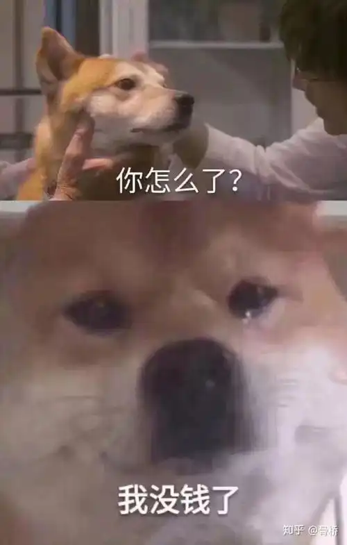 不玩了把钱还我表情包微