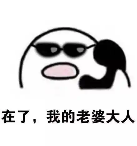  歪你麻痹,我是你爹,挂了