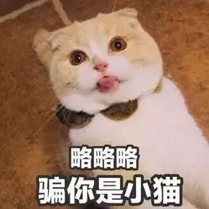  和易烊千玺谈恋爱周冬雨,快交出你的斩男秘籍