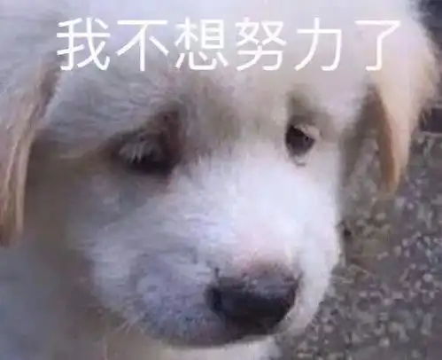  男女表情包拿图片诱惑撩人,聊天必备