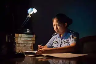  叩问真相的铿锵玫瑰记区政协委员李琰琰