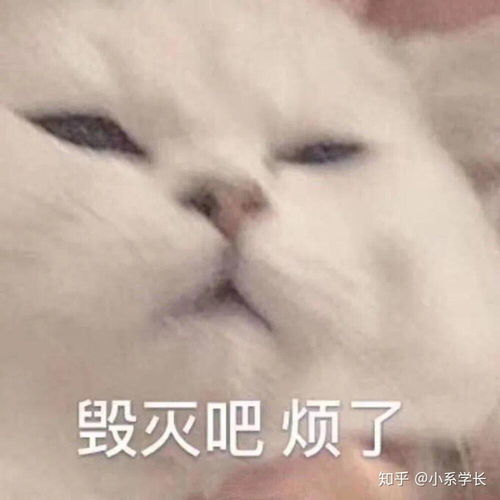 我要失去你了表情包捂脸