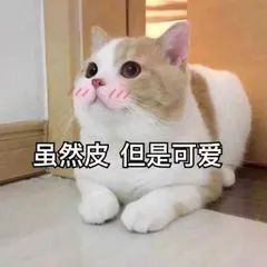  过年吃伤的胃,靠它养回来10分钟就能香喷喷上桌