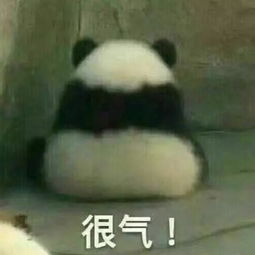  你与鲁迅之间只差一本秘籍