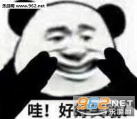  好好笑哦熊猫表情图片哇好好笑哦表情包下载乐游网游戏下载