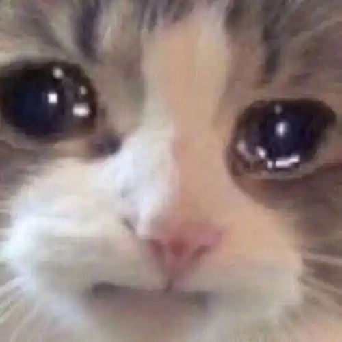 猩猩摊手表情包好无聊