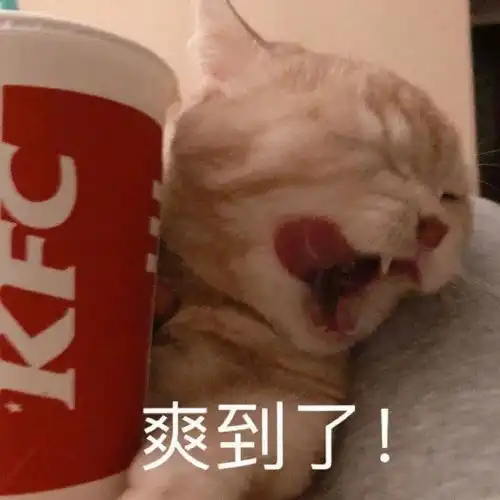  表情包这位女士,请你冷静一下