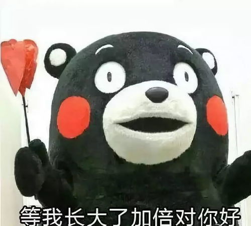  我是如何一步步杀死我男朋友的