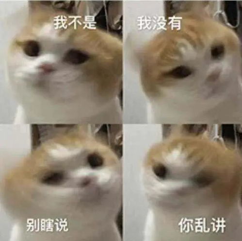  沙雕猫猫表情包我就是菜,怎样