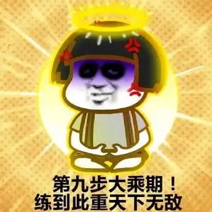 这是在修仙吗表情包