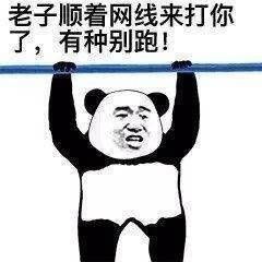  你一发表情包我就知道我们对话要结束了