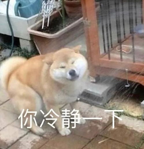  表情包求原谅,我再也不惹你生气了