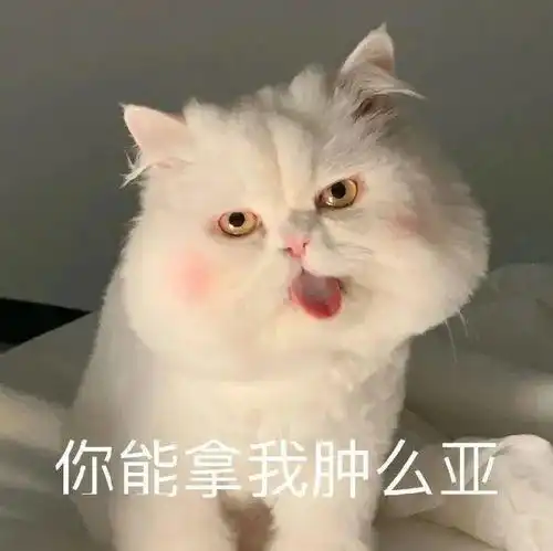  这是为啥子捏