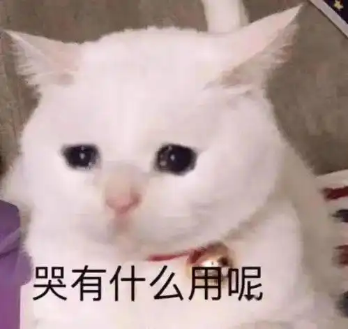  那个想包养我的男人