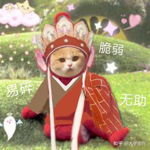  天线宝宝唐僧猫咪萌宠表情包