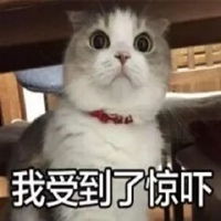  惊吓表情包图片