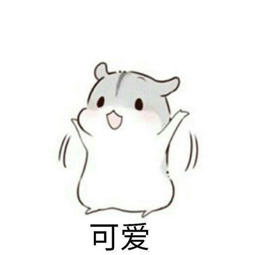  有哪些可爱的表情包