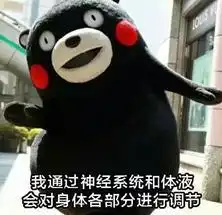  熊本熊表情包天冷了,有男票的抱男票,有女票的抱女票