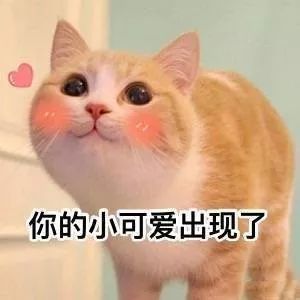  萌新们,来看看让老生都迷路的楼楼们吧