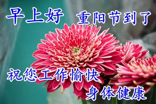  重阳节早上好动态表情图片大全,早晨好美图大全