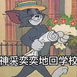  猫和老鼠开学表情包合集神采奕奕地回学校