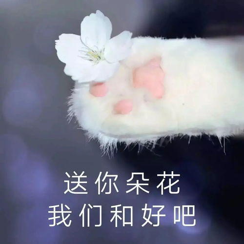  大家好愚人节有什么整蛊npy的玩笑吗