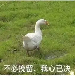  惹怒女人很可怕,为了报复前男友,她决定到全世界裸奔...