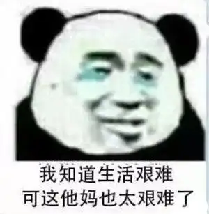 生活的表情包亲妈