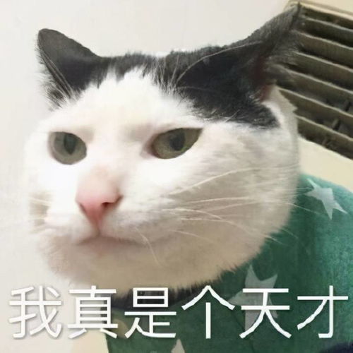  牙疼不是病疼起来真要命记住这一点,比任何治疗都管用