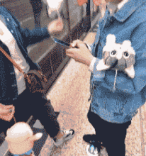 搞笑gif吓死猫了怎么出来的