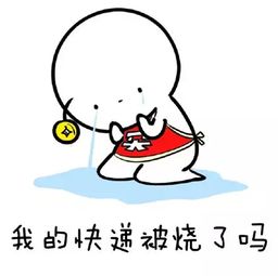  关于双十一的那点事儿