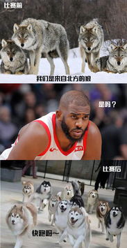  逗妹吐槽梅西足球界的艺术品