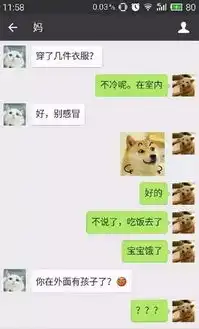  仅凭一张图片妈妈就判断出女儿怀孕有一种代沟叫爸妈看不懂我的表情包