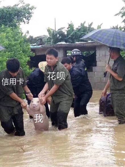  叫你乱说打脸狗狗动图表情包动图打脸表情