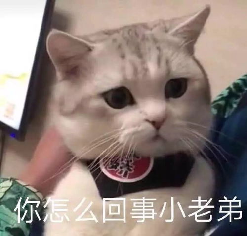  超越吴昕,她才是女明星里最糙的