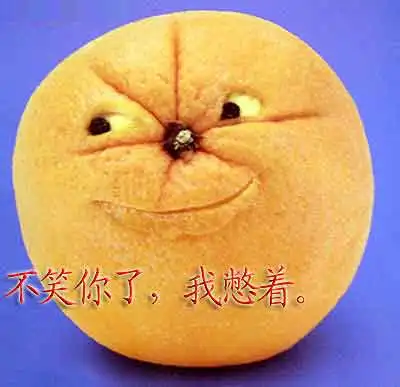  易车