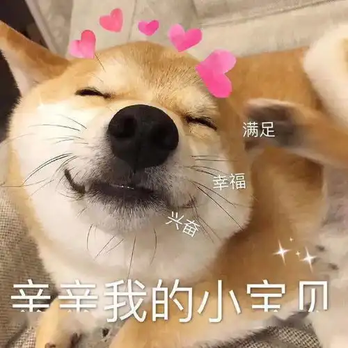  这是哪来的野鸡