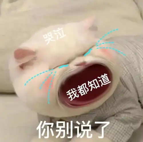  超实用的大哭表情包