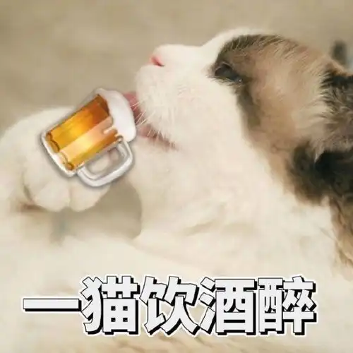  初代网红表情包相继离世愿小天使们一路走好