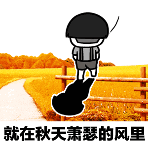  gif无水印表情包分享